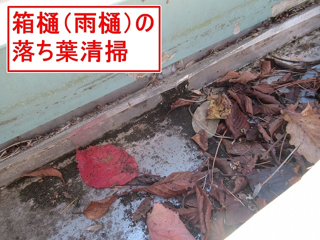 南都留郡富士河口湖町でガルバリウム屋根の落ち葉清掃・シーリング処理で雨漏り予防！