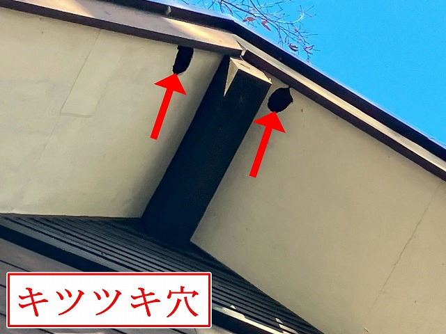 軒天のキツツキ穴