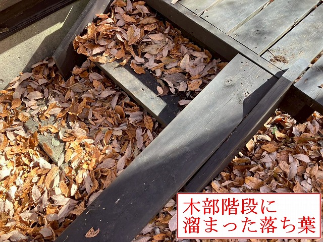 落ち葉が溜まった木階段