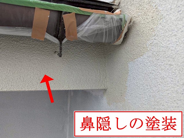 鼻隠し塗装の様子