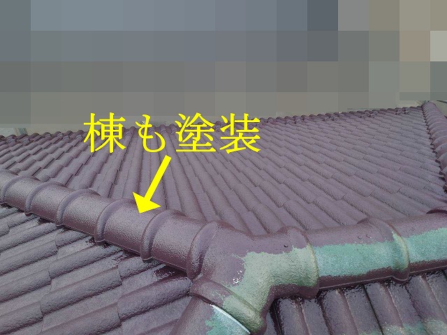棟を塗装した屋根