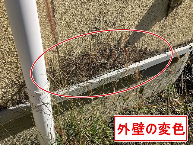 笛吹市で外壁が変色している写真
