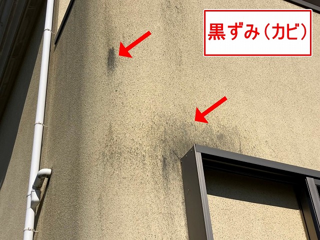 笛吹市でモルタル外壁に黒ずみ（カビ）が発生した写真