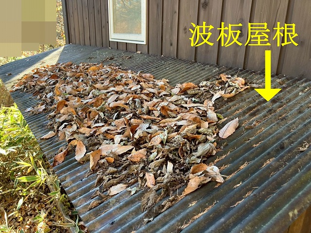 波板屋根の落ち葉堆積