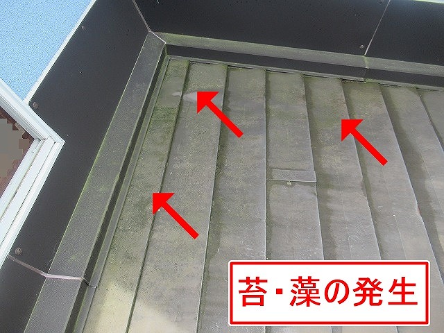 北杜市で緑の苔・藻の発生したガルバリウム鋼板屋根