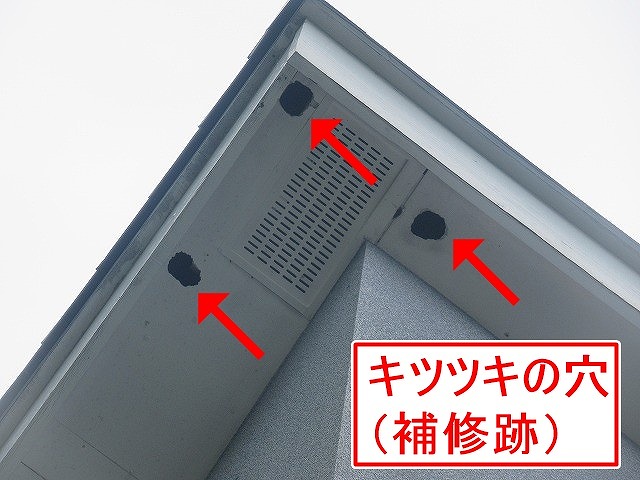 甲府市でキツツキの穴が目立つ軒天（補修跡）