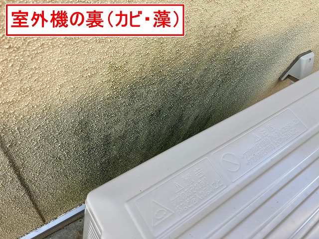 笛吹市で室外機の裏のモルタル外壁にカビ・藻が発生した写真