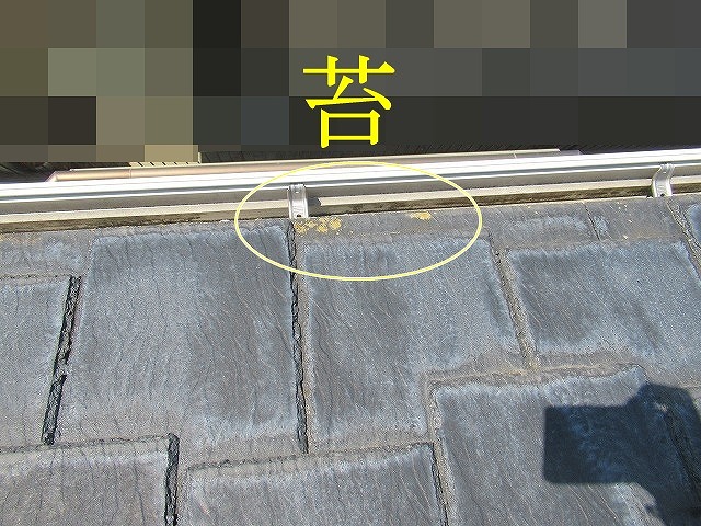 屋根軒先のコケ付着