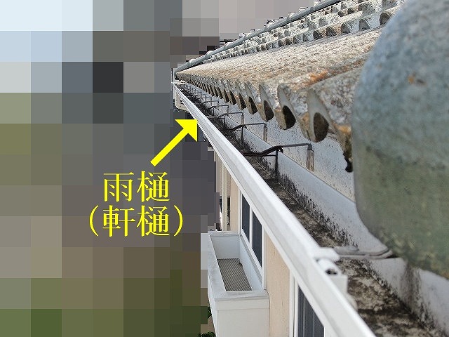 軒樋内部の汚れ
