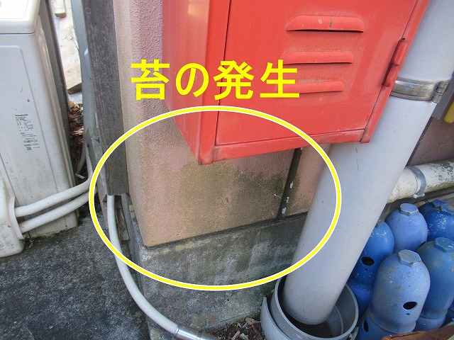 南都留郡富士河口湖町で観光ホテルの苔が発生したALCパネル外壁を調査・点検する様子