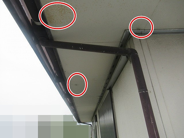 西八代郡市川三郷町で軒天に汚れが付着している様子（黒ずみ・カビ）