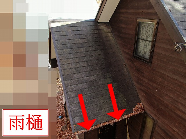 落ち葉が詰まった雨樋