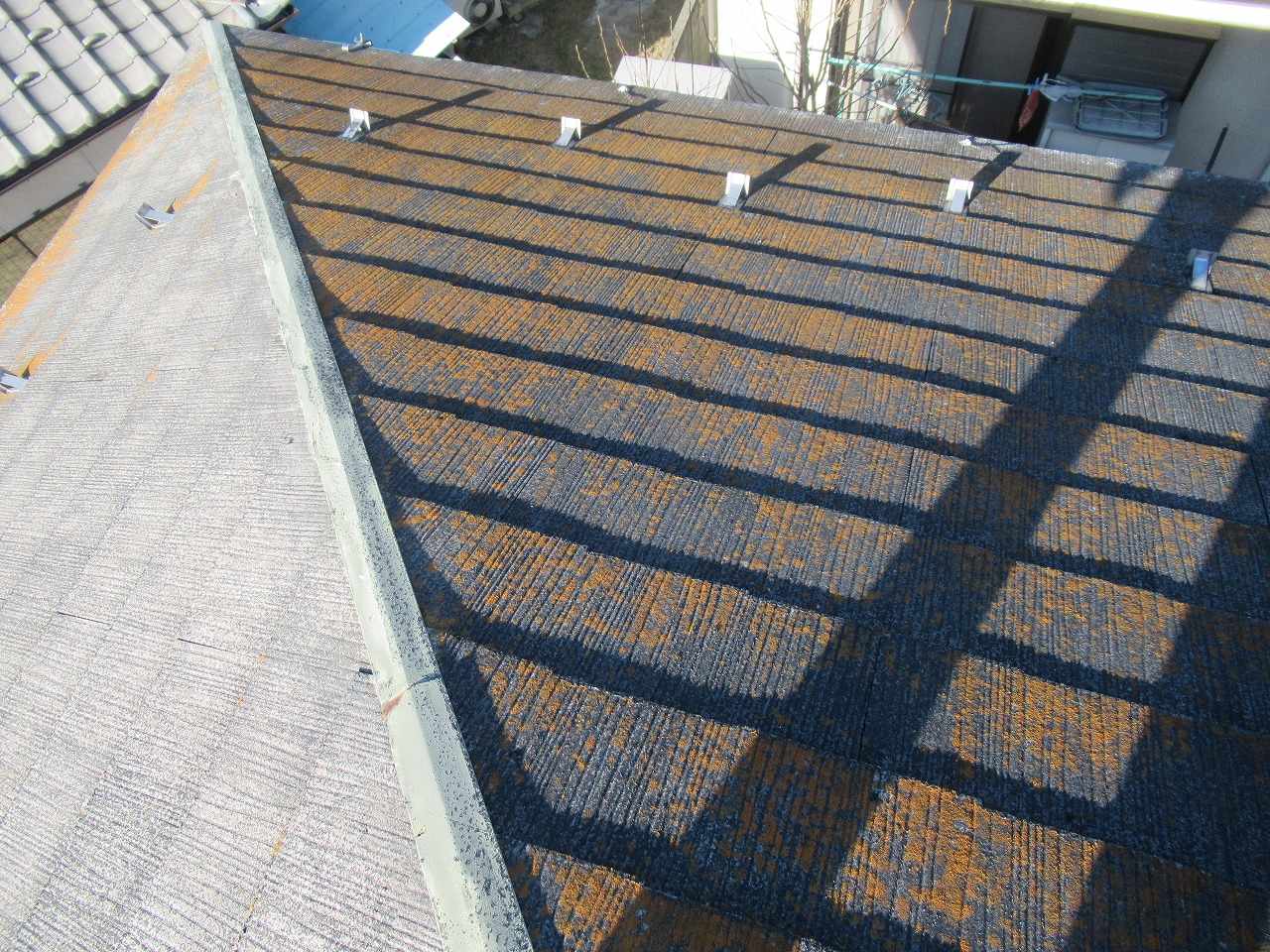 富士河口湖町　屋根塗装苔